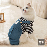 quần áo cho mèo họa tiết 3 chú gấu trắng